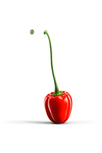 red bell pepper,bellpepper,green tomatoe,red bell peppers,green bell pepper,red tomato,tomato,green paprika,worm apple,bell pepper,roma tomato,green pepper,pomodoro,green bell peppers,growth icon,bladder cherry,spoiled red bell pepper,a tomato,red apple,plum tomato,Conceptual Art,Fantasy,Fantasy 06