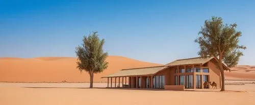 dunes house,admer dune,cube stilt houses,arid landscape,desert landscape,desert desert landscape,libyan desert,arid land,desertification,desertlike,stilt house,arid,deserto,dune landscape,gobi desert,semidesert,straw hut,san dunes,namib,argentina desert,Photography,General,Realistic