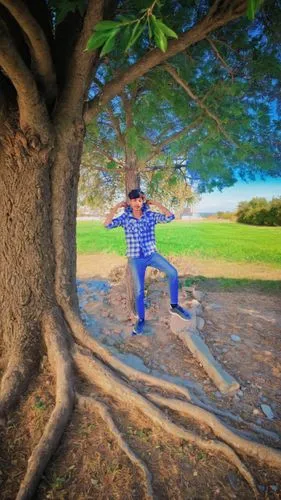 upward tree position,half lotus tree pose,tree swing,tree man,chipko,magic tree