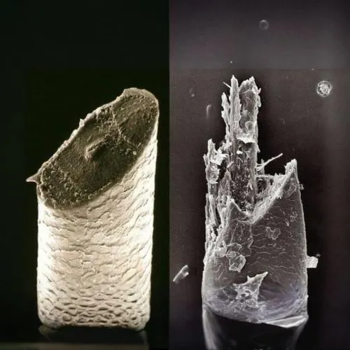 stereolithography,nanolithography,rock crystal,cocktail with ice,crystallization,bottle surface,slag glass,microphotography,crystallisation,biomaterial,lemurian,calcification,recrystallization,micromolar,salt glasses,selenite,lalique,ice formations,muscovite,sudarium