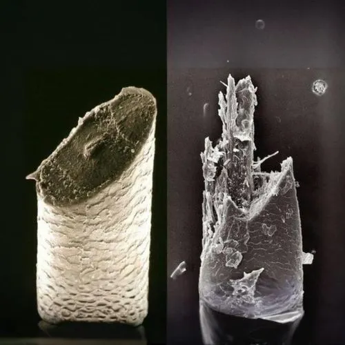 stereolithography,nanolithography,rock crystal,cocktail with ice,crystallization,bottle surface,slag glass,microphotography,crystallisation,biomaterial,lemurian,calcification,recrystallization,micromo