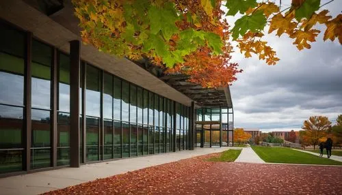 Binghamton University, modern architecture, brick building, glass windows, steel frames, concrete columns, green roof, detailed textures, American-style campus, autumn leaves, cloudy sky, soft natural