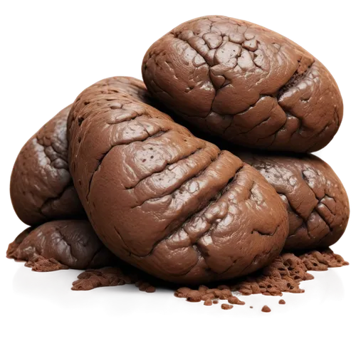 Realistic feces, brown color, irregular shape, glossy texture, soft focus, close-up shot, shallow depth of field, warm lighting, 3/4 composition, detailed cracks on surface, smooth edges, natural look