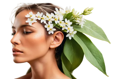 naturopathy,natural cosmetics,naturopathic,homeopathically,neroli,homoeopathy,naturopath,scent of jasmine,naturopaths,phytotherapy,jojoba oil,argan tree,natural cosmetic,natural perfume,ayurveda,flower essences,flowers png,muguet,bioidentical,myoporum,Photography,Artistic Photography,Artistic Photography 08