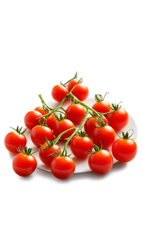 Cherry tomatoes, ripe red, glossy surface, green stem attached, scattered on white plate, soft natural light, shallow depth of field, 3/4 composition, warm color tone, cinematic lighting, detailed tex