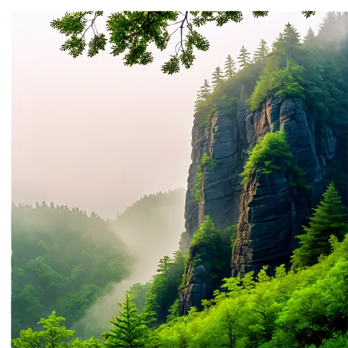 mountainous landscape,mountain landscape,mountain scene,foggy mountain,zhangjiajie,nature background,mountainside,landscape background,mountain slope,huangshan,zhangjiagang,anana mountains,foggy landscape,huangshan mountains,forest landscape,cliffside,beech mountains,mountainsides,nature landscape,elbe sandstone mountains,Illustration,Children,Children 05