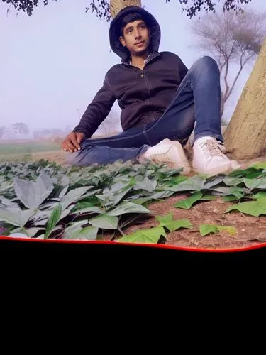 
Green leaves,devikund,kabir,farm background,live in nature,in the field,nature and man,khoresh,dhansak,serwal,nice nature,background view nature,jawaharlal,sagar,bhajji,fir shoot,mobile click,poriyal