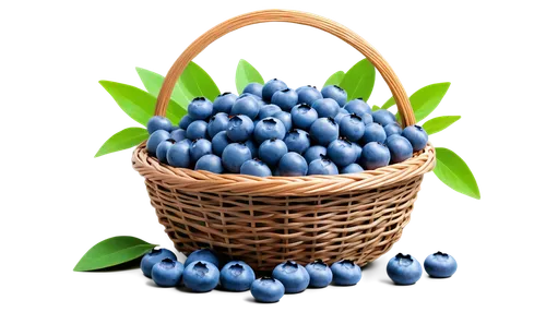 blue grape hyacinth,blue grapes,common grape hyacinth,grape hyacinth,grape hyacinths,blue eggs,blueberries,berries,basket of fruit,white grape hyacinths,berry fruit,fruit basket,blue spheres,cinema 4d,johannsi berries,bilberries,fresh berries,berries fruit,many berries,renderman,Conceptual Art,Sci-Fi,Sci-Fi 10