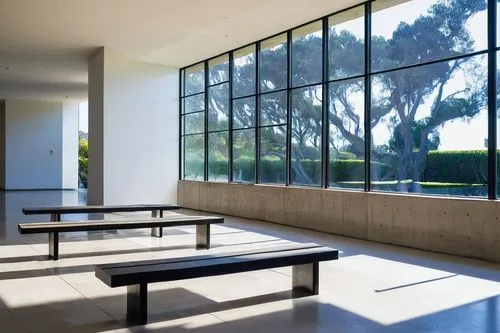 school benches,neutra,lecture hall,schoolrooms,technion,daylighting,kimbell,cafeteria,desks,school design,lecture room,chipperfield,lunchroom,lunchrooms,classrooms,glass panes,canteen,glass wall,electrochromic,structural glass,Illustration,Realistic Fantasy,Realistic Fantasy 30