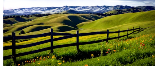 pasture fence,ranchlands,salt meadow landscape,alpine meadows,sunol,banks peninsula,landscape background,rolling hills,meadow landscape,grasslands,alpine landscape,jarbidge,tussock,grassland,alpine meadow,mountain pasture,foothills,alpine pastures,mountain meadow,springtime background,Illustration,American Style,American Style 08