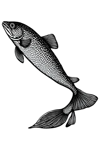 menhaden,etheostoma,fjord trout,dartfish,alewives,weakfish,icefish,salvelinus,zebrafish,oncorhynchus,baitfish,mosquitofish,muskellunge,stickleback,killifish,kokanee,freshwater fish,mackerels,poisson,micropterus,Conceptual Art,Daily,Daily 07