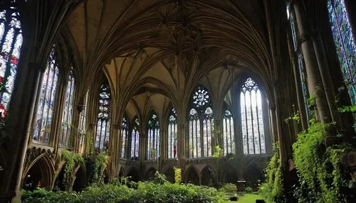 cloister,cloisters,transept,cathedrals,interior view,the interior,organ pipes,presbytery,ulm minster,main organ,cathedral,sanctuary,interior,basiliensis,the cathedral,metz,batalha,stained glass windows,nidaros cathedral,gothic church,Photography,Documentary Photography,Documentary Photography 31