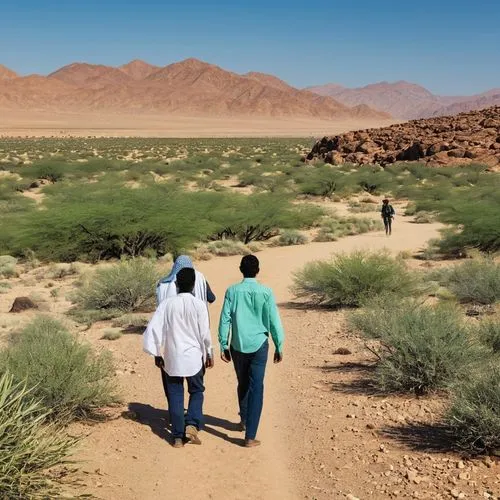 tamanrasset,namib desert,namib,desert run,semidesert,sossusvlei,transjordan,argentina desert,people walking,capture desert,libyan desert,benmerzouga,desert,desierto,desert background,desertlike,kufra,nuweiba,wadi rum,sahara desert,Photography,General,Realistic