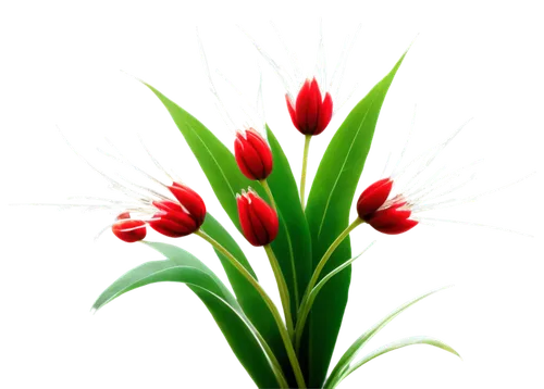 Christmas flowers, transparent petals, delicate, sparkling, snowflake-like patterns, golden anthers, slender stems, glossy leaves, festive red and green colors, soft focus, bokeh lights, macro shot, s