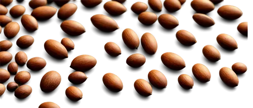 cocoa beans,coffee beans,java beans,chocolate chips,pulses,coffee background,seeds,kernels,brigadeiros,cloves,spherules,grains,coffee seeds,pine cone pattern,chocolate balls,pine nuts,dried cloves,pralines,beanballs,ganache,Conceptual Art,Graffiti Art,Graffiti Art 03