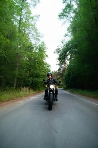 una carretera con un bosque,motorcycle tours,motorcycle tour,motorcycling,black motorcycle,motorcycle drag racing,motorcyclist,ride out,panning,bullet ride,motorcycles,a motorcycle police officer,whee