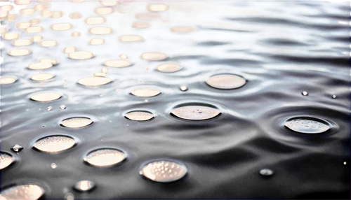 droplets of water,water droplets,waterdrops,water drops,rainwater drops,droplets,drops of water,rain droplets,drops,rain drops,hydrophobicity,hydrophobic,raindrops,raindrop,dewdrops,water droplet,water surface,drops on the glass,dew droplets,droplet,Photography,Documentary Photography,Documentary Photography 02