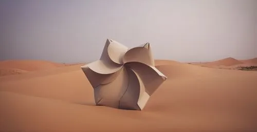 a piece of paper shaped like a ribbon,desert flower,admer dune,desert fox,desert,desert plant,semidesert