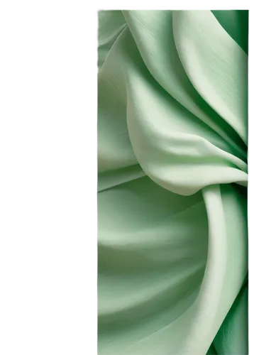 green folded paper,spring leaf background,cleanup,mouldings,malachite,magnolia leaf,flowers png,green border,green wallpaper,gardenia,chlorophyll,green and white,vintage anise green background,green background,cape jasmine,tropical leaf pattern,tulip background,tropical leaf,green leaf,crème de menthe,Photography,Fashion Photography,Fashion Photography 13