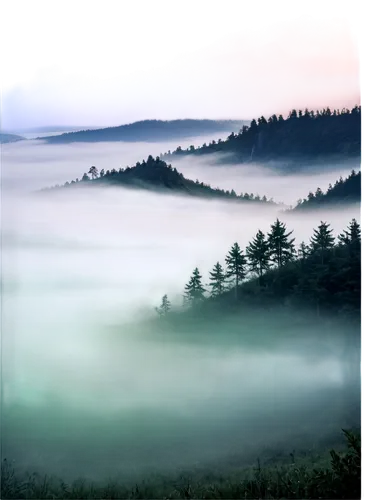 foggy landscape,sea of fog,fog banks,foggy mountain,mists over prismatic,mists,wave of fog,veil fog,dense fog,north american fog,ground fog,fog,high fog,sea of clouds,foggy forest,fogged,mist,the fog,boomerang fog,inversion,Conceptual Art,Fantasy,Fantasy 08