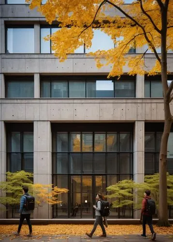 tdsb,schulich,robarts,ryerson,osgoode,macalester,soochow university,yonsei,articling,uqam,the trees in the fall,kansai university,mies,bunshaft,julliard,rotman,kaist,bobst,nationalbank,juilliard,Art,Classical Oil Painting,Classical Oil Painting 40