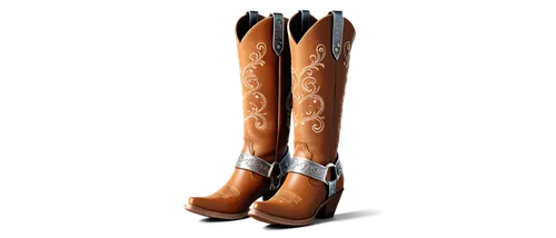 riding boot,women's boots,steel-toed boots,splint boots,horse tack,cowboy boot,cowboy boots,durango boot,saddle,boots turned backwards,steel-toe boot,ski equipment,boots,wooden saddle,trample boot,equestrian sport,cattle feet,motorcycle boot,cowboy beans,hiking equipment,Unique,3D,3D Character