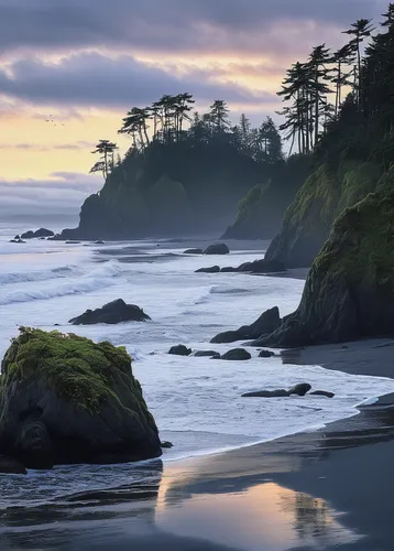 Write a hauntingly poetic story set on Ruby Beach.,ruby beach,pacific coastline,vancouver island,oregon,mendocino,united states national park,pebble beach,coastal landscape,the pacific ocean,tofino,co