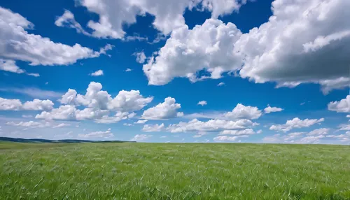 windows wallpaper,grasslands,grassland,meadow landscape,landscape background,blue sky and clouds,Photography,Documentary Photography,Documentary Photography 23