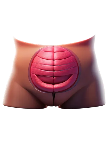 Abdominal surgery, umbilical hernia, 3D illustration, colorful organs, mesh-like tissue, bulging belly button, curved incision line, surgical stitches, shiny skin, close-up shot, shallow depth of fiel