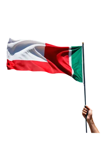 bulgaria flag,united arab emirates flag,texas flag,flag of iran,chilean flag,flag of uae,mexico,italian flag,uae flag,flag of chile,omani,hd flag,persian gulf,italy flag,country flag,mexican,malta,national flag,hungary,united arab emirates,Illustration,Realistic Fantasy,Realistic Fantasy 09