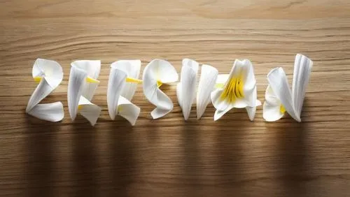 endive,eco-friendly cutlery,egg slicer,bookmark with flowers,paper chain,tealight,paper art,egg spoon,luminous garland,decorative letters,garlic bulb,energy-saving bulbs,place card holder,typography,drawing with light,glasswares,deviled egg,masking tape,tea light holder,deviled eggs,Realistic,Flower,Lily
