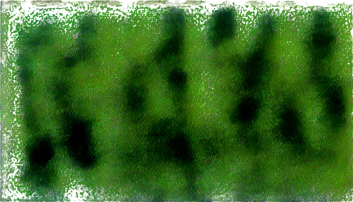 cyanobacteria,chlorophyll,microalgae,chlorophyta,chlorosis,isolated product image,spirulina,fir green,xylem,block of grass,degenerative,trichophyton,gradient blue green paper,green border,chlorella,water spinach,generated,wavelet,green background,biofilm,Conceptual Art,Daily,Daily 07