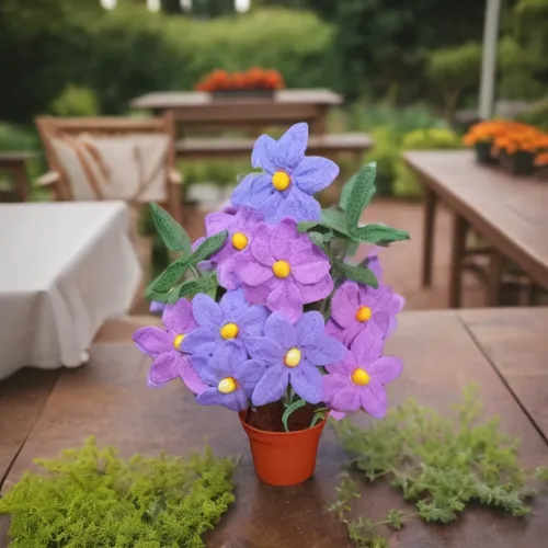 potted flowers,edible flowers,erysimum,table decoration,herbaceous flowering plant,garden flowers