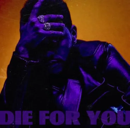 die,you,ieyoub,skeletor,purple,your,ddo,vondie,yf,thanos,danzig,fid,desaad,no purple,dbd,motivational poster,due,dye,bodio,nakonde