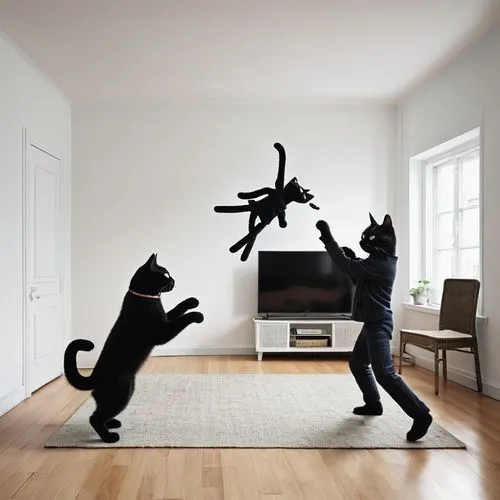 cat silhouettes,cats playing,kinect,cat vector,3d art,animal silhouettes,Photography,Documentary Photography,Documentary Photography 04