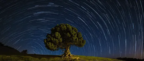 The tree and the stars - Startrails for a lonely tree,star trail,star trails,astrophotography,astronomy,perseid,starry sky,lone tree,perseids,starscape,starry night,taraxum,night stars,long exposure,m