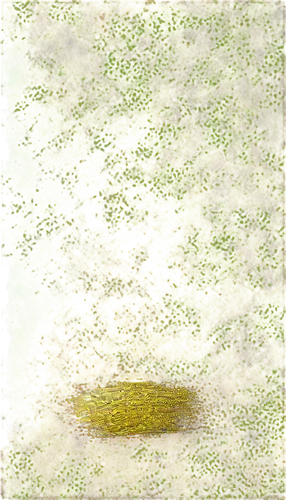 puccinia,bladderwort,agonopterix,duckweed,pond lily,cyanobacteria,stigmella,tetrahymena,water lily leaf,watermilfoil,trichophyton,lacewing,igel,sackcloth textured background,leafminer,xanthomonas,ostracod,diatom,brocade carp,xanthophylls,Illustration,Retro,Retro 24