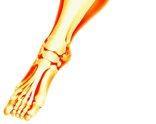 X-ray image, human foot, sesamoid bone, inflamed area, redness, swelling, medical condition, detailed texture, high-contrast lighting, close-up shot, shallow depth of field, monochromatic color tone.,