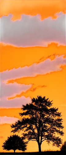 lone tree,tree silhouette,isolated tree,namib,adansonia,orange sky,old tree silhouette,namib desert,tsavo,etosha,tangerine tree,landscape background,watercolor tree,namib rand,serengeti,fir tree silhouette,watercolor pine tree,jacaranda trees,arid landscape,bare tree,Photography,Artistic Photography,Artistic Photography 10