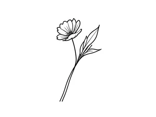 single flower black and white outline by itself,minimalist flowers,flower line art,flower drawing,flower illustration,botanical line art,flowers png,Design Sketch,Design Sketch,Rough Outline