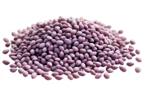 microspheres,liposome,origanum,anthocyanin,microcapsules,permanganate,amaranth,liposomes,emulsifiers,degranulation,anthocyanins,granulation,purpurascens,semipermeable,legumes,isolated product image,microkernels,spherules,desmodium,flavoprotein,Photography,Black and white photography,Black and White Photography 03