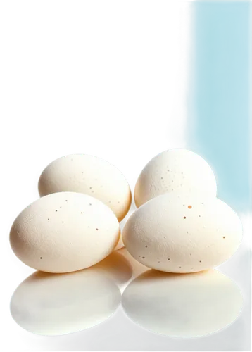 white eggs,goose eggs,eggs,colored eggs,boiled eggs,brown eggs,painted eggs,egg shells,bird eggs,fresh eggs,blue eggs,chicken eggs,raw eggs,range eggs,eggshells,painted eggshell,softgel capsules,egg,egg white,egg shell,Illustration,Paper based,Paper Based 17