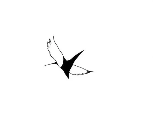 a bird is flying in the sky, a symbol of faith,black tern,peace dove,dove of peace,flying tern,fairy tern,bird png,Design Sketch,Design Sketch,Rough Outline