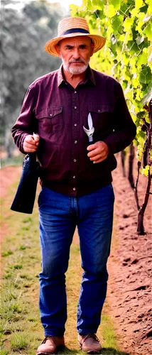 viticulturist,winegrower,mujica,viticulturists,devito,vino,huerta,vineyard grapes,winegrowers,viticulture,sauvigne,vintner,wine harvest,orchardist,farmer in the woods,winegrape,vineyard,napa,viejo,barossa,Illustration,Black and White,Black and White 16