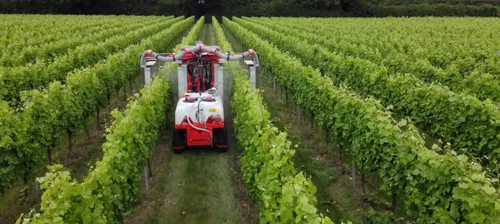 grape harvesting machine,wine harvest,dji agriculture,weinzapfel,castle vineyard,sprayer,viticulturist,viticulturists,deutz,bourgault,tillage,sprayers,spraying,wine growing,vignerons,mechanisation,vineyard,agricultural machine,chair in field,farm tractor