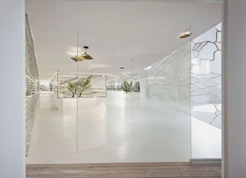 glass transparent walls garden outside the window white floor,the inside of an empty building with several hanging light fixtures,glass wall,hallway space,structural glass,transparent window,daylighti