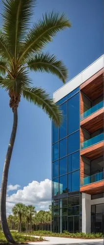 phototherapeutics,cquniversity,ufrj,oficinas,iberostar,nainoa,residencial,eckerd,office building,tropical house,mirasol,technion,company headquarters,fau,palmera,modern building,glass facade,paradisus,leaseback,lifesciences,Art,Artistic Painting,Artistic Painting 02