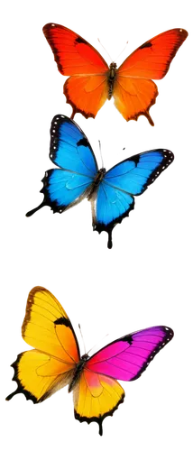 butterfly background,butterfly vector,butterfly clip art,rainbow butterflies,morphos,butterflies,butterfly wings,blue butterfly background,mariposas,butterfly,ulysses butterfly,butterfly isolated,flutter,orange butterfly,papillons,aurora butterfly,french butterfly,isolated butterfly,butterflied,sky butterfly,Art,Artistic Painting,Artistic Painting 27