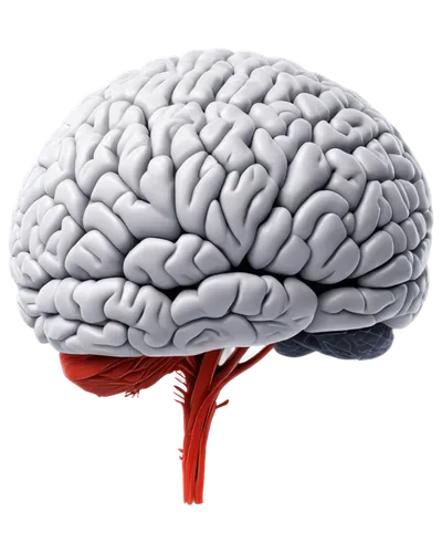 brain icon,thalamocortical,cerebrovascular,encephalopathy,cerebrum,brainlab,neurodegenerative,frontotemporal,thalamic,neurobiological,encephalopathies,neuralgia,neurocognitive,meningoencephalitis,cortical,subdural,neocortex,neuroimaging,leukoencephalopathy,subcortical,Illustration,American Style,American Style 11