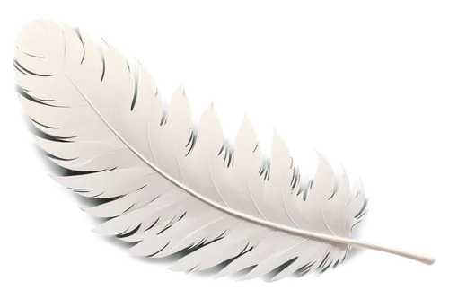 Wing, white feather, soft light, detailed texture, spread wide, curved shape, morning dew, warm sunlight, 3/4 composition, shallow depth of field, cinematic lighting, solo, close-up, realistic.,white 